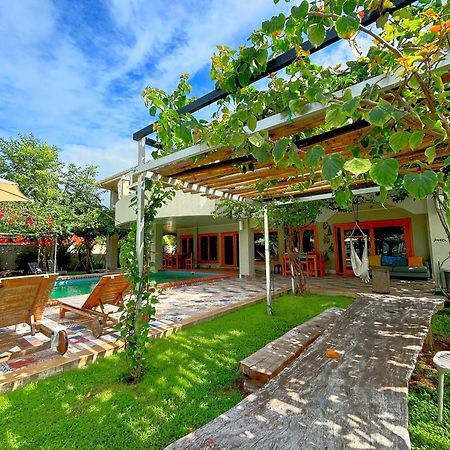 Appartamento Royal Palm Retreat Cabrera Esterno foto